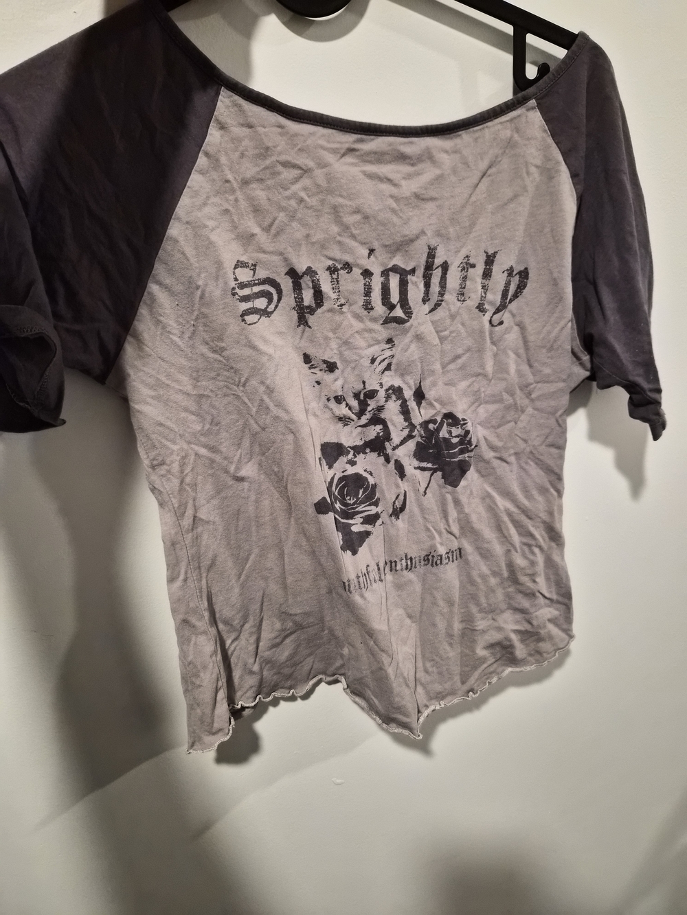 Graphic Raglan Tee - Gray and Charcoal